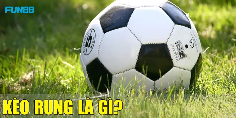 Kèo Rung Là Gì Định nghĩa kèo rung là gì?